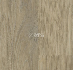 Линолеум Forbo SureStep Decibel 71896/718962 whitewash oak фото 1 | FLOORDEALER